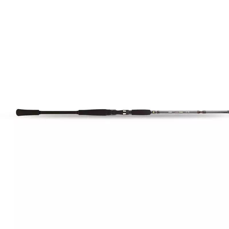 BFT Raptor Baitcast Rods