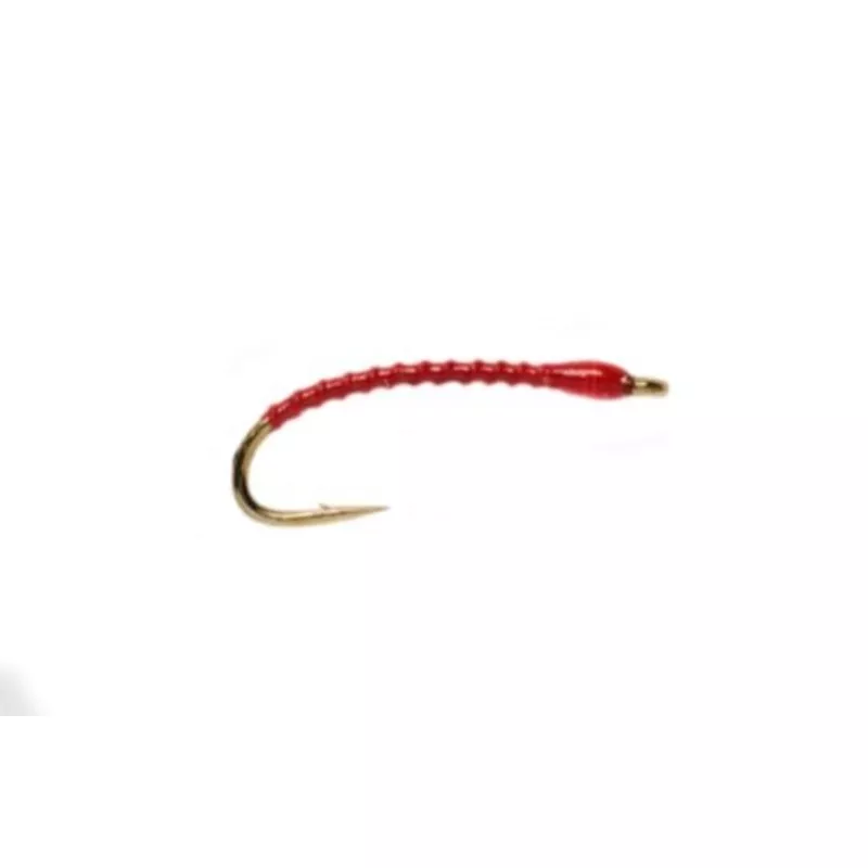 Boroff's Anneworm - Red