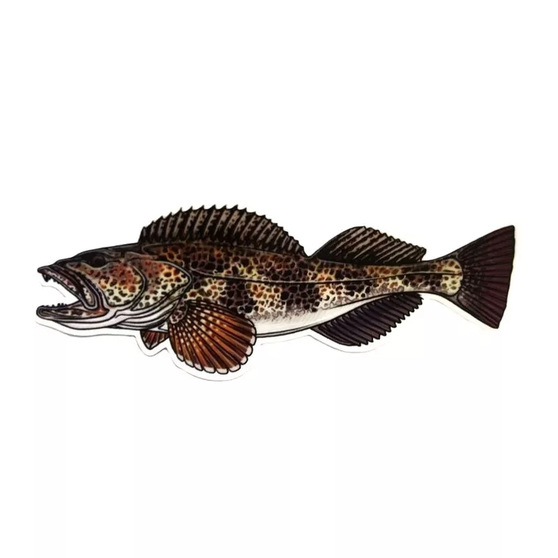 Casey Underwood Ling Cod Decal