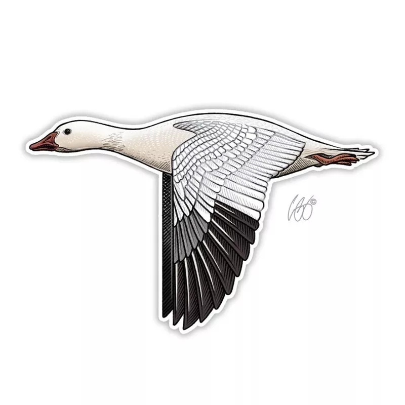 Casey Underwood Snow Goose Decal