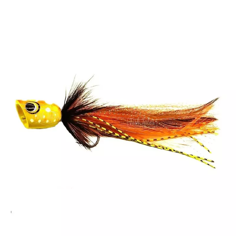 Catch Flies Catch's Pied Popper Orange
