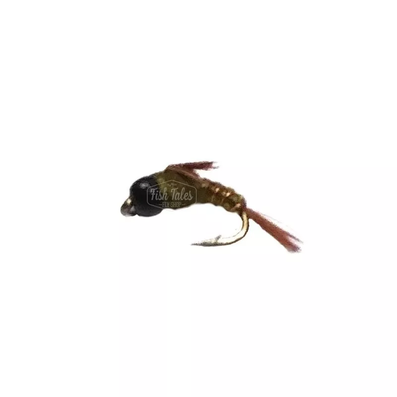Catch Flies Tung Stud Mayfly Nymph Olive