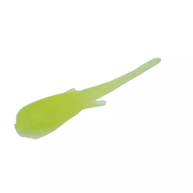 Clam Soldier Fly