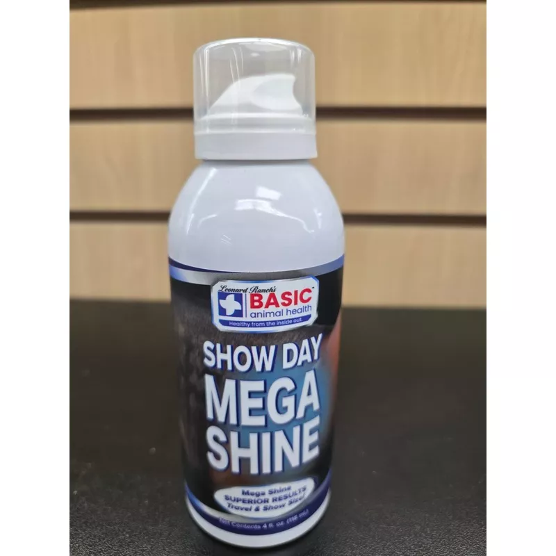 Mega Shine 4oz.