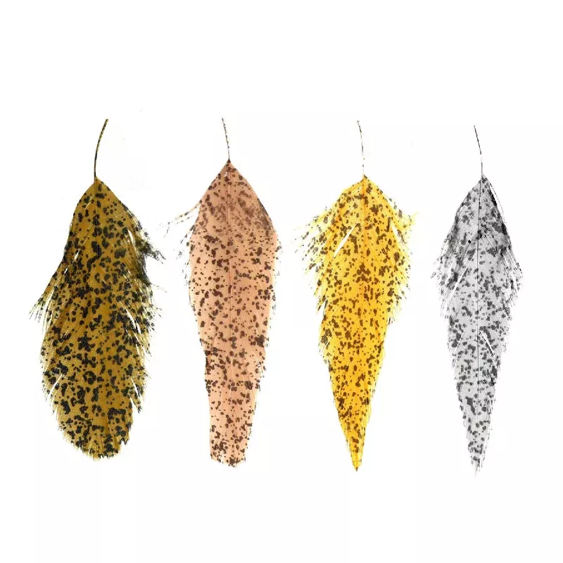 MFC Mottled Schlappen Feathers