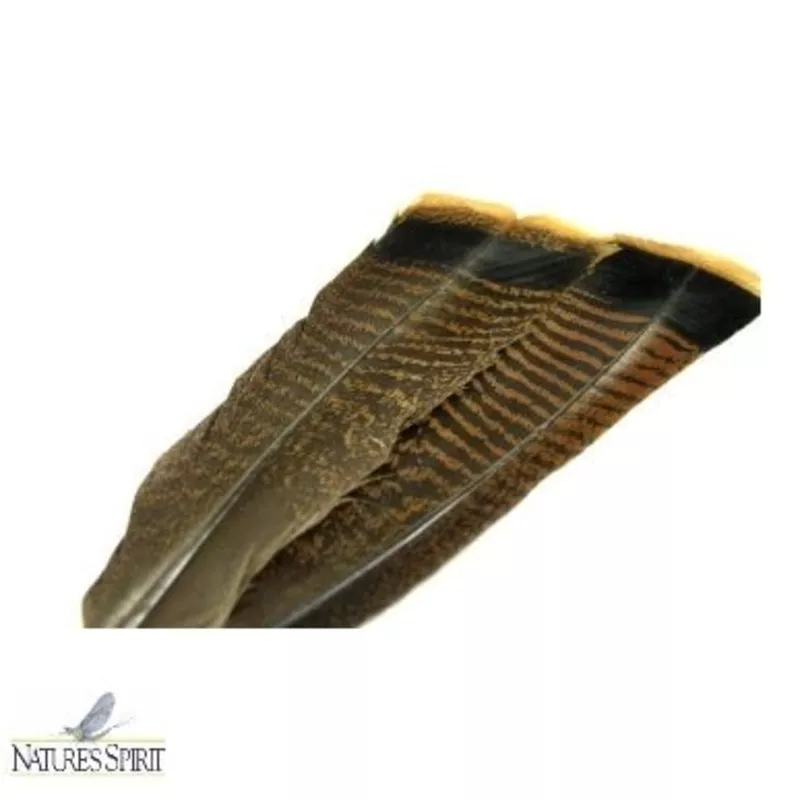 Ozark Oak Mottled Turkey Tail - Select Pair