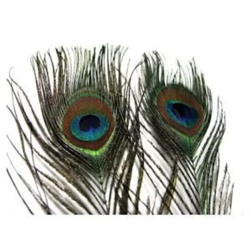 Peacock Eye Sticks
