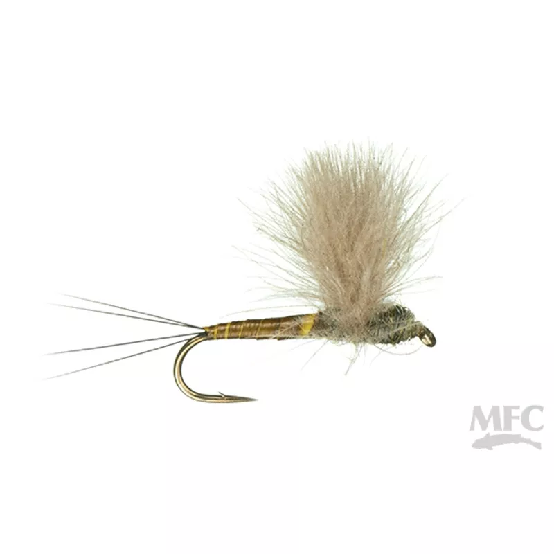 Quill Body CDC Comparadun - BWO