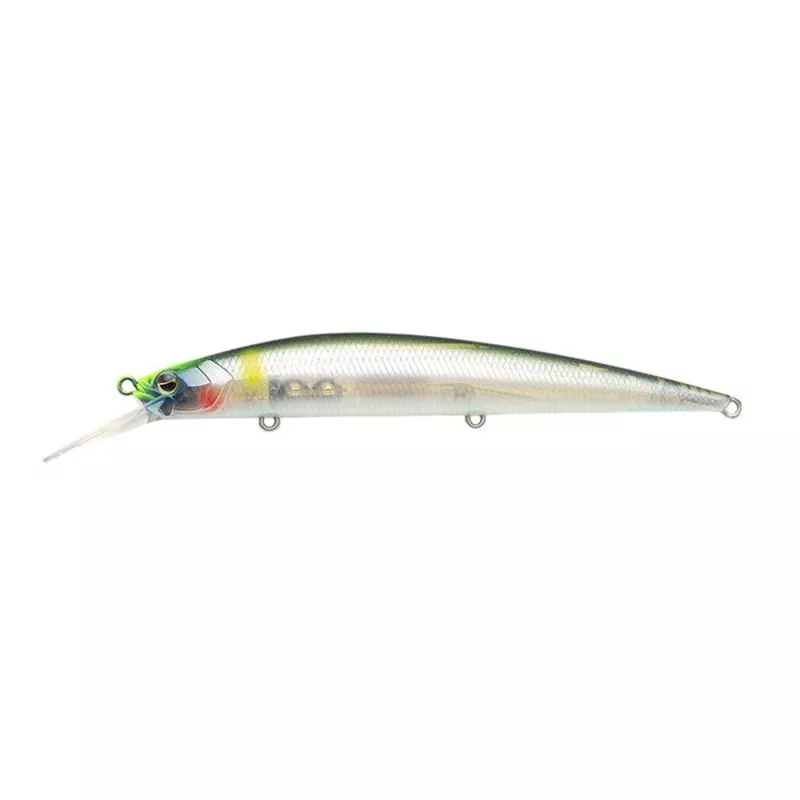 Raid Japan Level Minnow Plus