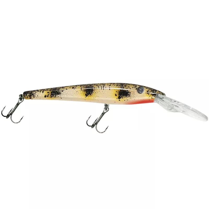 Reef Runner Reef Stalker Jr.