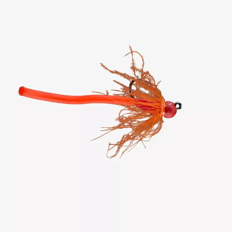 RIO’s Worm Farm (6-Pack)