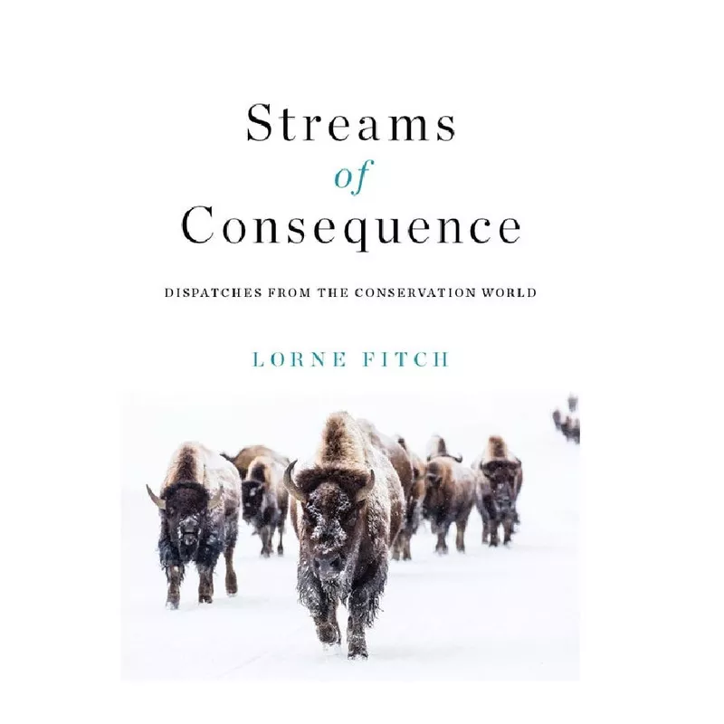 Streams of Consequence by Lorne Fitch