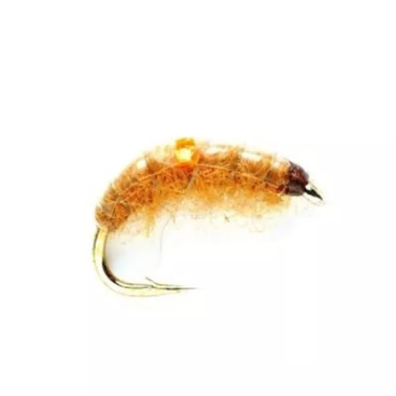 Tan Shrimp