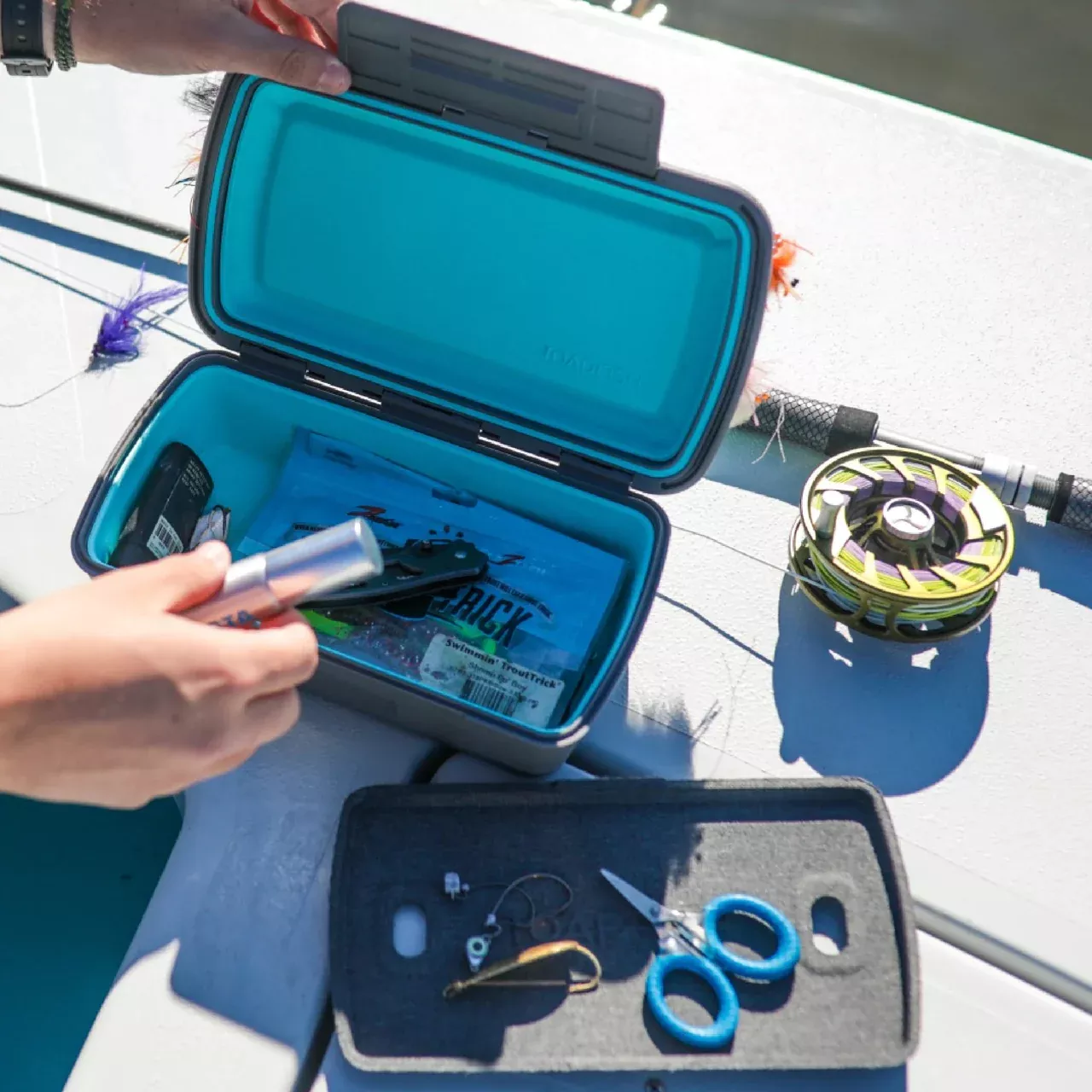 Toadfish – Dry Box