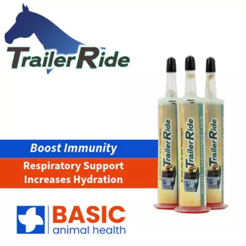 TrailerRide Horse 3 Pack